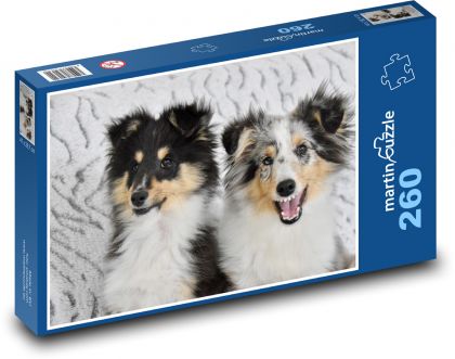 Pes - domácí mazlíček, zvíře - Puzzle 260 dílků, rozměr 41x28,7 cm