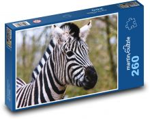 Zebra - zvíře, Afrika Puzzle 260 dílků - 41 x 28,7 cm