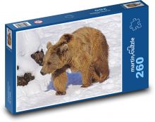 Hnedý medveď - sneh, zviera Puzzle 260 dielikov - 41 x 28,7 cm 
