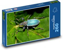 Chroust - brouk, hmyz Puzzle 260 dílků - 41 x 28,7 cm