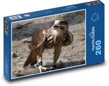 Káně - pták, dravec Puzzle 260 - 41x28,7 cm