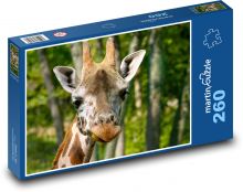Žirafa - hlava Žirafy Puzzle 260 dílků - 41 x 28,7 cm