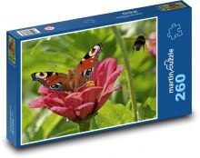 Motýl - opylování, hmyz Puzzle 260 dílků - 41 x 28,7 cm