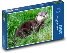 Otter - grass, animal Puzzle 260 pieces - 41 x 28.7 cm 