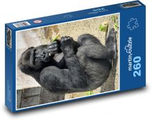 Gorila - opice, privát Puzzle 260 dílků - 41 x 28,7 cm