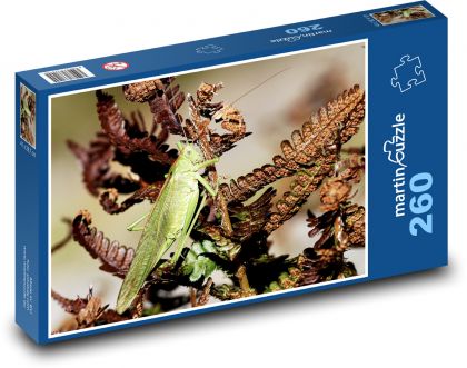 Zelené saranče - hmyz, rostlina - Puzzle 260 dílků, rozměr 41x28,7 cm