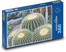 Kaktus - trny, pichlavý Puzzle 260 dílků - 41 x 28,7 cm