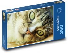 Domácí kočka - zvíře, mazlíček Puzzle 260 dílků - 41 x 28,7 cm