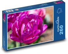 Fialové tulipány - květiny, jaro Puzzle 260 dílků - 41 x 28,7 cm