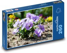 Maceška - jarní květina, rostlina Puzzle 260 dílků - 41 x 28,7 cm