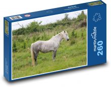 Divoký kůň - Camargský kůň, Francie  Puzzle 260 dílků - 41 x 28,7 cm