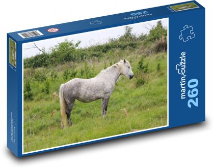 Divoký kůň - Camargský kůň, Francie  - Puzzle 260 dílků, rozměr 41x28,7 cm