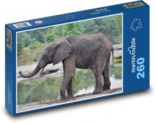 Słoń - safari, zwierzę Puzzle 260 elementów - 41x28,7 cm