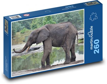Słoń - safari, zwierzę - Puzzle 260 elementów, rozmiar 41x28,7 cm