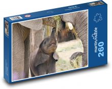 Elephant - baby, elephant Puzzle 260 pieces - 41 x 28.7 cm 