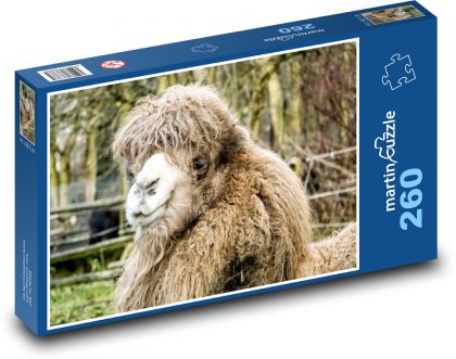 Camel - head, zoo - Puzzle 260 pieces, size 41x28.7 cm 