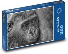 Gorila - primát, opice Puzzle 260 dílků - 41 x 28,7 cm