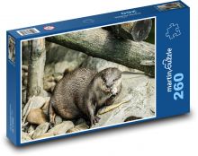 Vydra - jíst, savec Puzzle 260 dílků - 41 x 28,7 cm