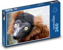 Czerwień maki - lemur, zwierzę Puzzle 260 elementów - 41x28,7 cm