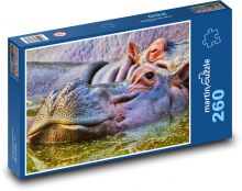 Hroch - zvíře, zoo Puzzle 260 dílků - 41 x 28,7 cm