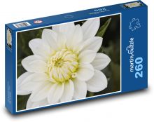 Květ bílé jiřiny Puzzle 260 dílků - 41 x 28,7 cm