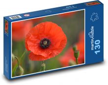 Mák - jaro, červený květ Puzzle 130 dílků - 28,7 x 20 cm