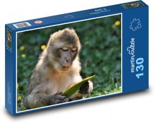 Barbarský makak - opice, zvíře Puzzle 130 dílků - 28,7 x 20 cm