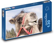 Velbloud - zvíře, savec Puzzle 130 dílků - 28,7 x 20 cm