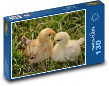 Kuřátko - kuře, drůbež Puzzle 130 dílků - 28,7 x 20 cm