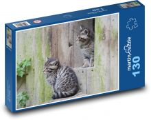 Divoké mačky - mláďatá, zoo Puzzle 130 dielikov - 28,7 x 20 cm 