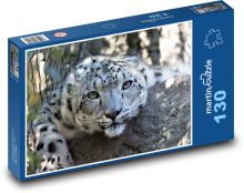 Leopard - velká kočka, šelma Puzzle 130 dílků - 28,7 x 20 cm