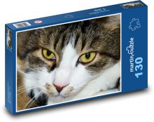 Mačka domáca - domáce zviera, mačka Puzzle 130 dielikov - 28,7 x 20 cm 