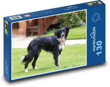 Border collie - pies. zwierzak domowy Puzzle 130 elementów - 28,7x20 cm
