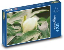 Bílá pivoňka - zahrada, květina Puzzle 130 dílků - 28,7 x 20 cm