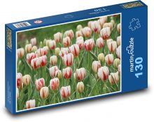 Tulipány - záhrada, kvety Puzzle 130 dielikov - 28,7 x 20 cm 