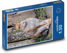 Irský zajíc - savec, býložravec Puzzle 130 dílků - 28,7 x 20 cm