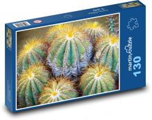 Kaktus - egzotyczny, roślina Puzzle 130 elementów - 28,7x20 cm