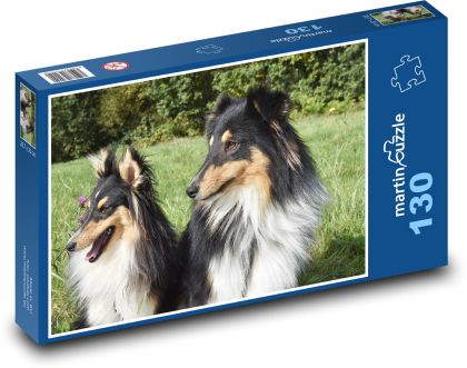 Shetland Shepherd - psy, domáce zvieratá - Puzzle 130 dielikov, rozmer 28,7x20 cm 