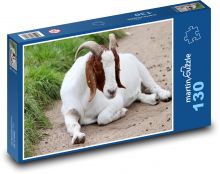 Domácí koza - rohy, zvíře Puzzle 130 dílků - 28,7 x 20 cm