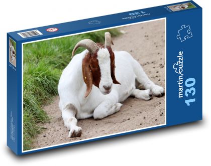 Domácí koza - rohy, zvíře - Puzzle 130 dílků, rozměr 28,7x20 cm