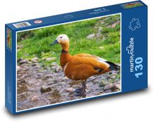 Husice rezavá - kachna, pták Puzzle 130 dílků - 28,7 x 20 cm