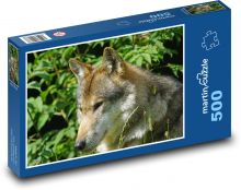 Vlk - divoká šelma Puzzle 500 - 46x30 cm