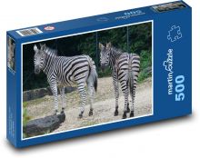 Zebry ve výběhu v zoo Puzzle 500 dílků - 46 x 30 cm
