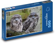 Owl Puzzle of 500 pieces - 46 x 30 cm 