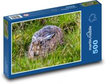 Zajíc Puzzle 500 dílků - 46 x 30 cm