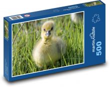 Kachňátko v trávě Puzzle 500 dílků - 46 x 30 cm
