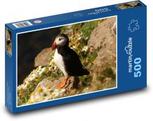 Papuchalk bělobradý - pták Puzzle 500 dílků - 46 x 30 cm