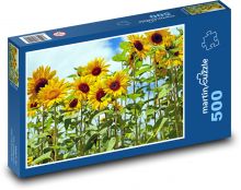 Sunflower field Puzzle of 500 pieces - 46 x 30 cm 