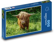 Skotský náhorní skot Puzzle 500 - 46x30 cm