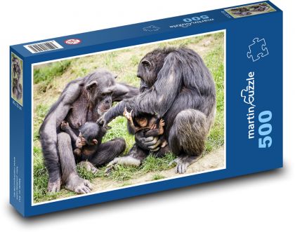 Šimpanzy, rodina - Puzzle 500 dielikov, rozmer 46x30 cm 
